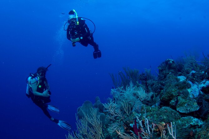 2-Tank Scuba Boat Trip in World-Class Sites @ Copamarina - Meeting at Copamarina at 7:00 a.m.