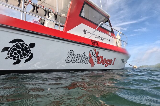 2-Tank Scuba Boat Trip in World-Class Sites @ Copamarina - What the two-tank format gives you