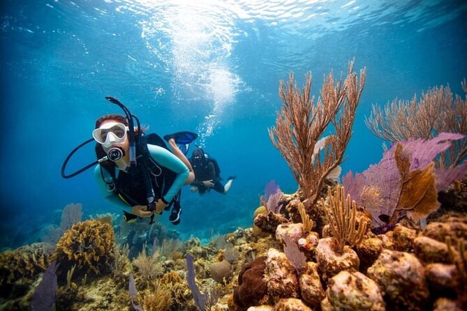 2-Tank Scuba Boat Trip in World-Class Sites @ Copamarina - Who will get the most from this outing