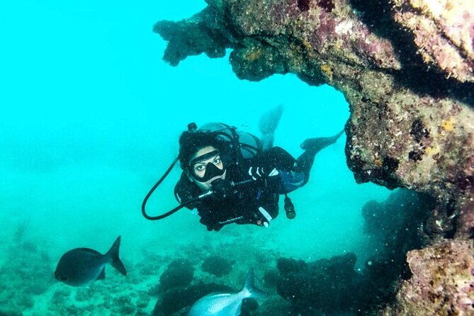 2-Tank Scuba Boat Trip in World-Class Sites @ Copamarina - The Epicenter at 50 to 60 feet