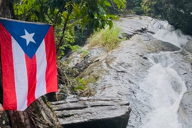 3 Tours in 1 Day: Old San Juan, Rainforest, Beach with Transport - Why this Puerto Rico day trip works