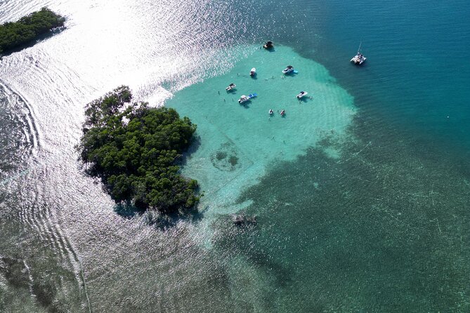 4 hours Tour in La Parguera Private Boat Charter - Who Will Enjoy This Most?