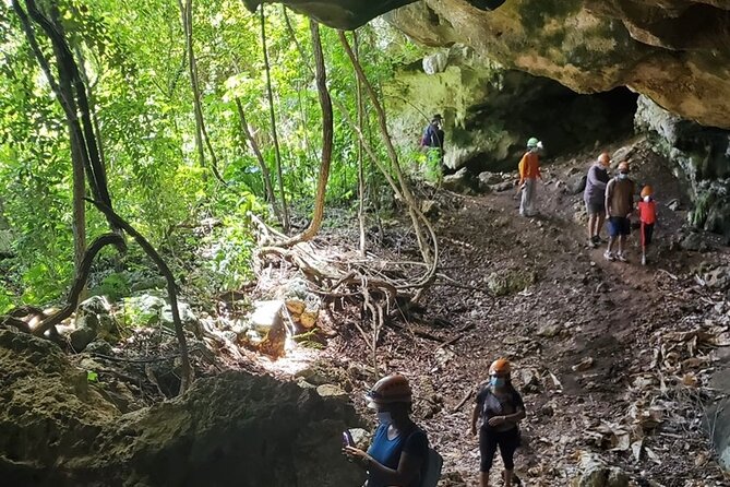 Adventure in Cave and the Guayaney Spring - A full day built around Puerto Rico’s karst country