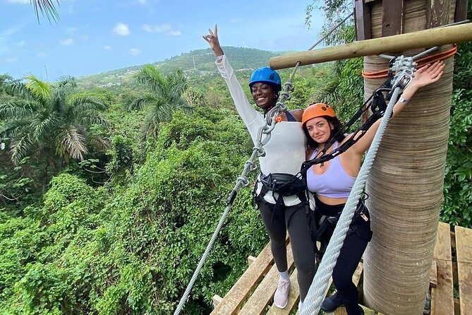 Adventure Trail Tour in the foothills of the National Rainforest - Four Things to Know Before You Go