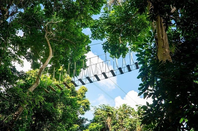 Adventure Trail Tour in the foothills of the National Rainforest - Finishing on the Small Zipline