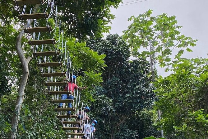 Adventure Trail Tour in the foothills of the National Rainforest - Crossing the Hanging Bridges