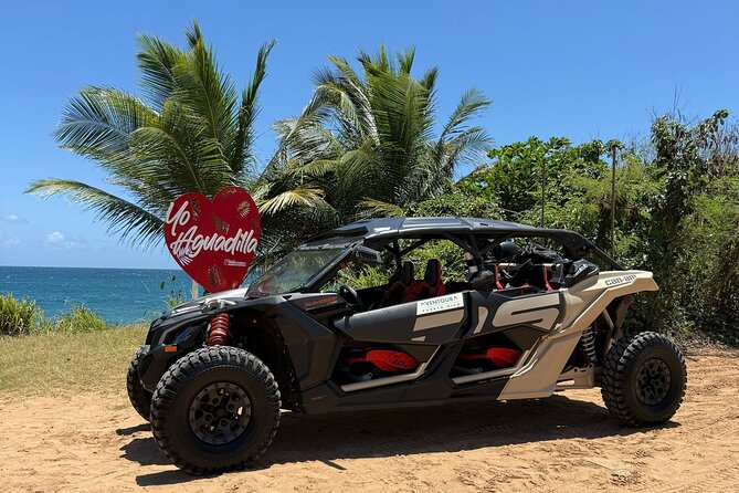 Aguadilla UTV Off-Road Tour to Faro Ruins! - Starting at the free parking meeting point