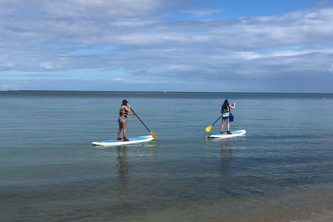 All-Day Paddleboard Rental – Fajardo, Puerto Rico - Starting at Cabezas de San Juan