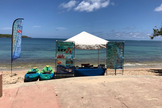 All-Day Paddleboard Rental – Fajardo, Puerto Rico - Mangroves Add a Different Kind of Scenery