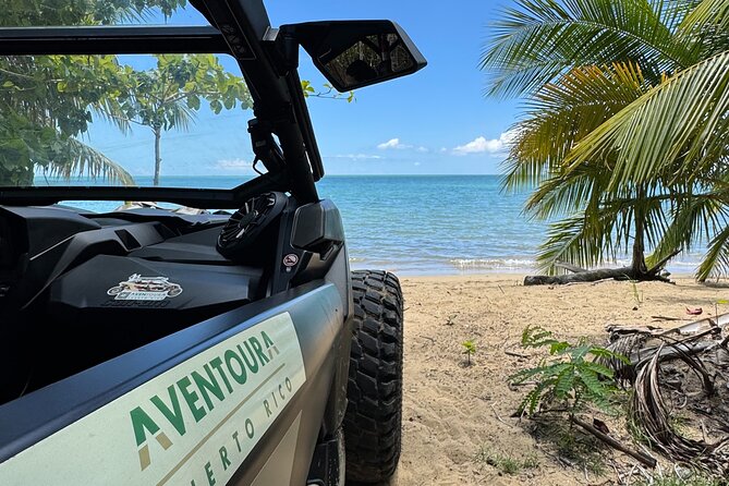 Añasco-Bunny Fever Adventure Experience - Why this west coast outing works