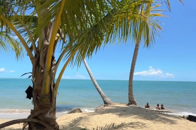 Añasco-Bunny Fever Adventure Experience - La Playa: the off-road heart of the tour