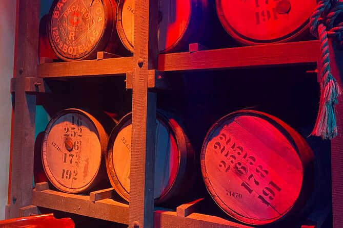 Bacardi Rum Distillery and Old San Juan Tour - Who will enjoy this afternoon most