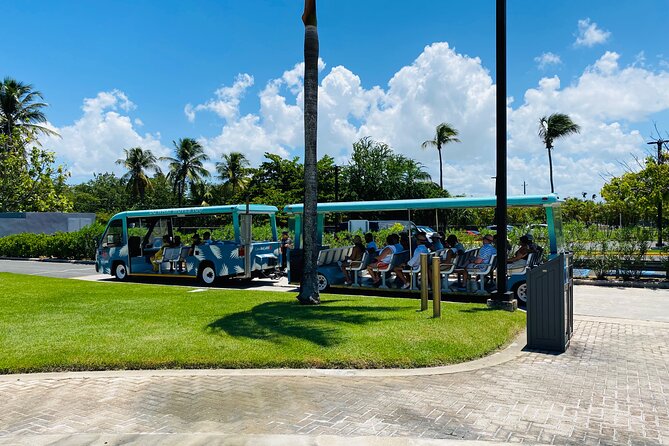 Bacardi Rum Distillery and Old San Juan Tour - Should you book the Bacardi and Old San Juan tour?