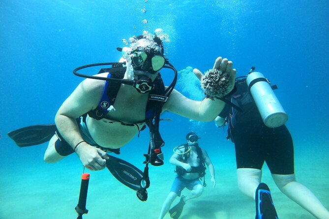 Beginner Scuba Diving Guided Tour - No Experience Required - What happens during the two-hour session