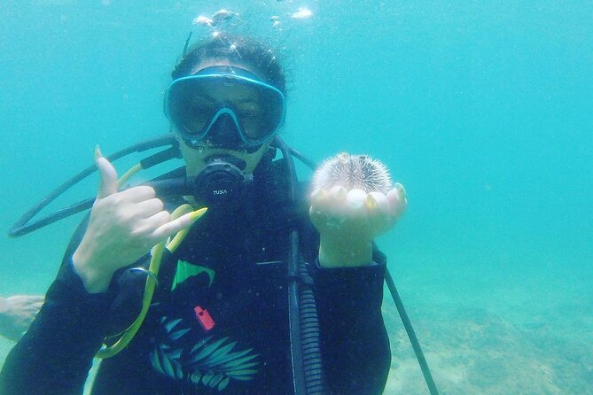 Beginner Scuba Diving Guided Tour - No Experience Required - The underwater payoff around Rincón