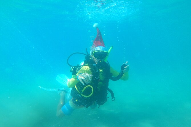 Beginner Scuba Diving Guided Tour - No Experience Required - The instructors are the heart of the outing