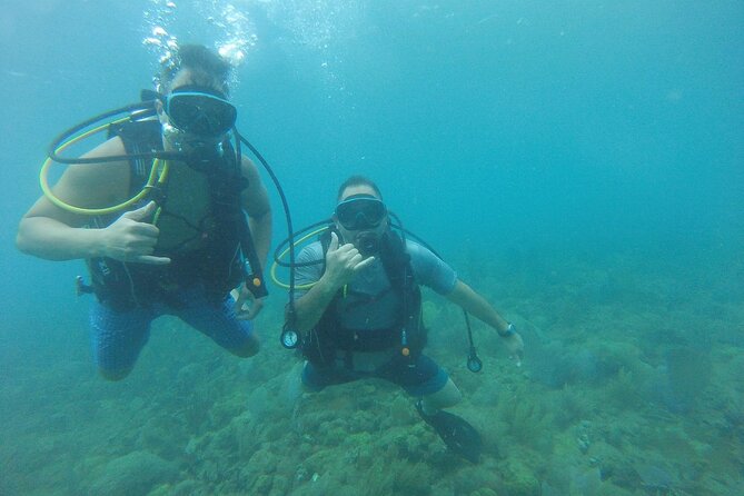 Beginner Scuba Diving Guided Tour - No Experience Required - Free photos and video are a real value