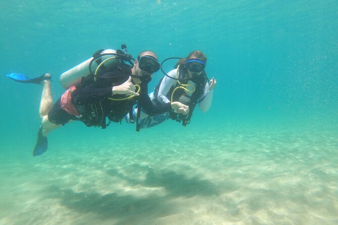 Beginner Scuba Diving Guided Tour - No Experience Required - Weather, health, and timing deserve attention