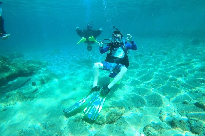 Beginner Scuba Diving Guided Tour - No Experience Required - Meeting at 564 Black Eagle Road