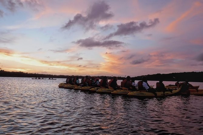 Bio Bay Kayak Tour in Fajardo - The guides turn a paddle into a lesson