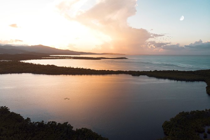 Bio Bay Kayak Tour in Fajardo - Who will enjoy this Fajardo night tour?
