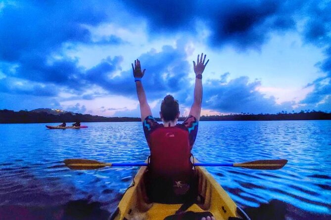Bio Bay Night Kayak Tour in Fajardo - What makes this Fajardo night paddle worth considering