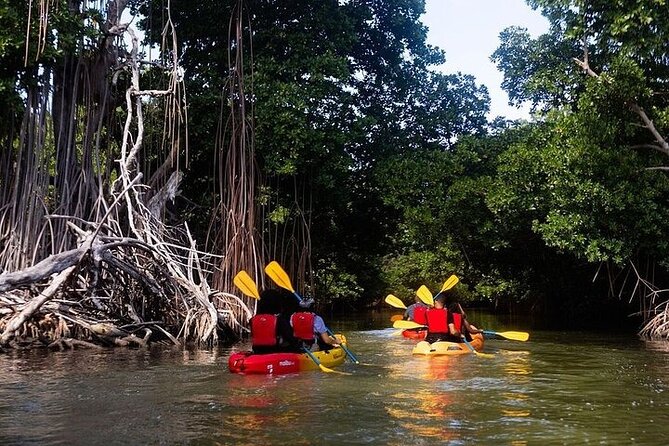 Bio Bay Night Kayak Tour in Fajardo - What the $85 price includes