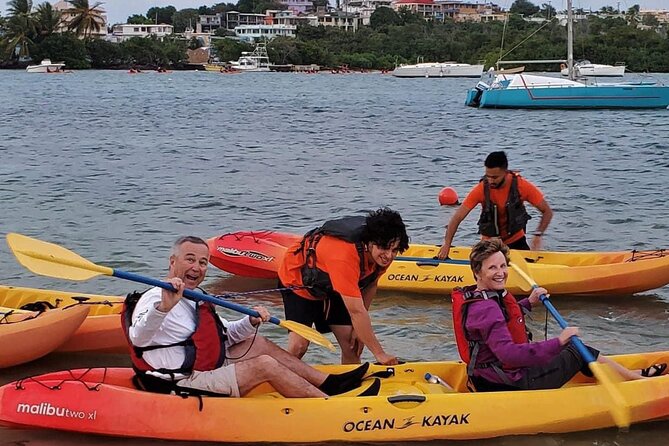 Bio Bay Night Kayak Tour in Fajardo - Timing, weather, and practical preparation