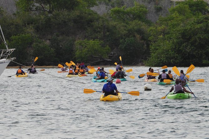 Bio Bay Night Kayak Tour with Transport from San Juan - Who should book this evening adventure?
