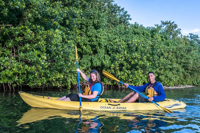 Bio Bay Night Kayak Tour with Transport from San Juan - The paddle toward Bio Bay