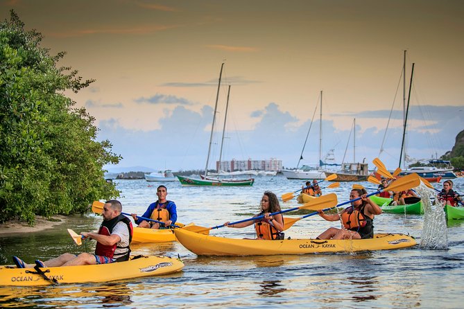 Bio Bay Night Kayaking | Laguna Grande, Fajardo - Key points to know before booking