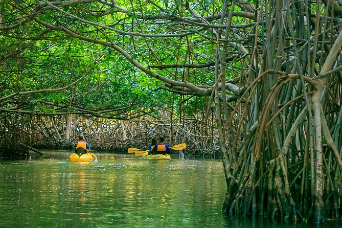 Bio Bay Night Kayaking | Laguna Grande, Fajardo - Kayaking 101 before sunset
