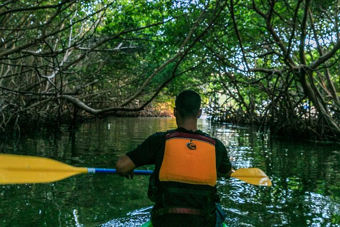 Bio Bay Night Kayaking | Laguna Grande, Fajardo - Who will enjoy this outing most?