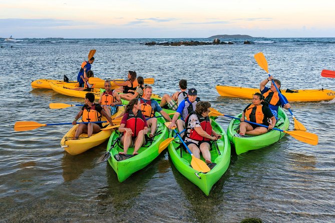 Bio Bay Night Kayaking with Transport from San Juan Area - From San Juan to the Laguna Grande launch