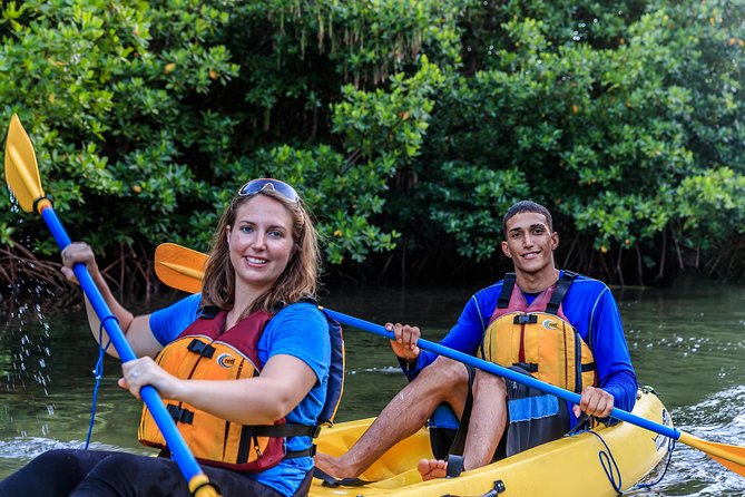 Bio Bay Night Kayaking with Transport from San Juan Area - Seeing the plankton glow at Laguna Grande