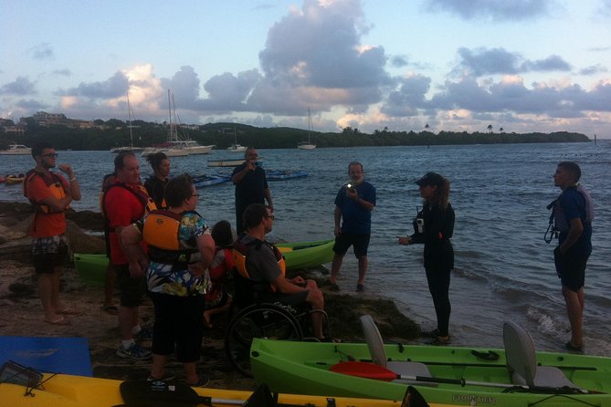 Bio Bay Night Kayaking with Transport from San Juan Area - Comfort, bugs, and what to bring