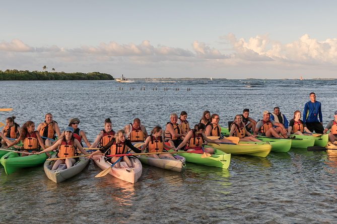 Bio Bay Night Kayaking with Transport from San Juan Area - Simple ways to improve your chances of a good experience