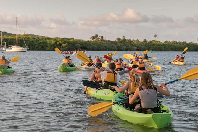 Bio Bay Night Kayaking with Transport from San Juan Area - Sunset through Fajardo’s mangroves
