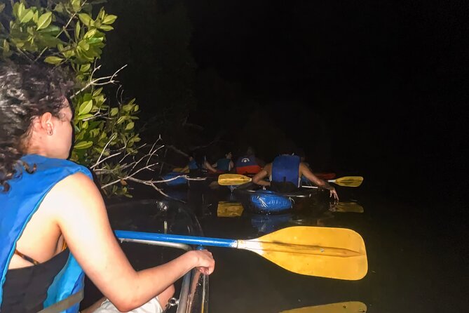 Bio Bay Tour Vieques – Full Clear Canoes Experience - Paddling Through the Glowing Water