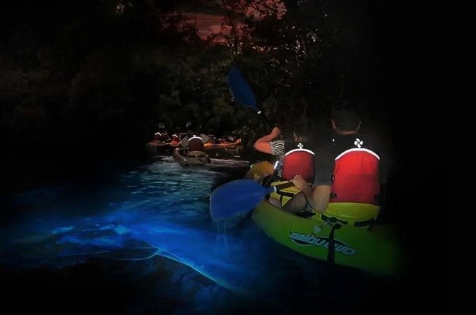 BioBay Sunset Splash-Kayaking Tour - The most serious concern is accuracy of the advertised service