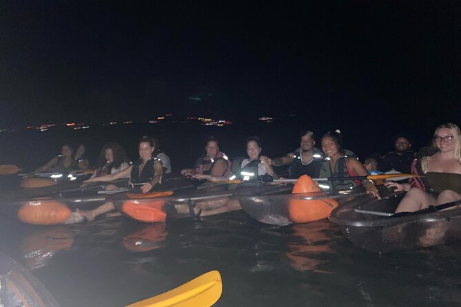 Biobay Vieques Tour Kayak Night Tour - The guides turn a strange sight into a story