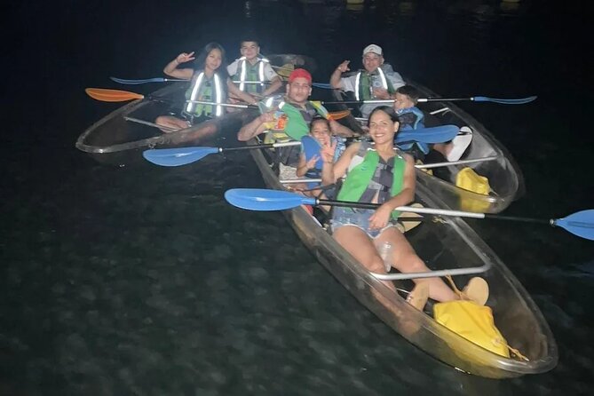 Biobay Vieques Tour Kayak Night Tour - Ferry planning is the part you cannot ignore