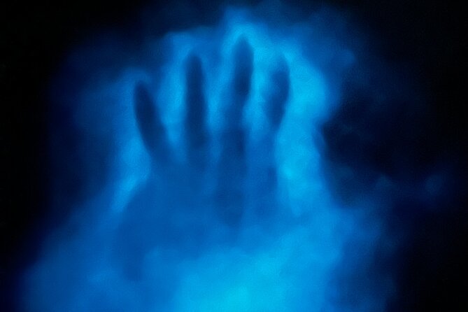 Bioluminescent Bay Chiliboats Waterbike Tour in La Parguera - Seeing dinoflagellates in Phosphorescent Bay
