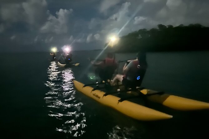 Bioluminescent Bay Chiliboats Waterbike Tour in La Parguera - The guides add safety and meaning