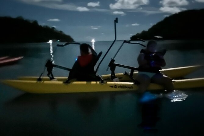 Bioluminescent Bay Chiliboats Waterbike Tour in La Parguera - Is $79 a fair price?