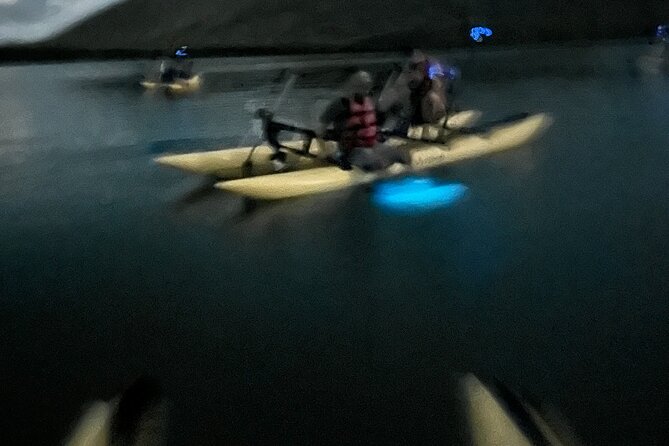 Bioluminescent Bay Chiliboats Waterbike Tour in La Parguera - Who should choose this waterbike tour?