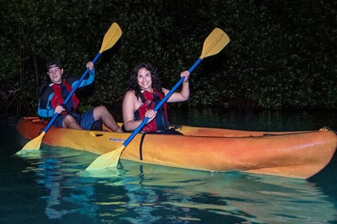 Bioluminescent Bay Kayak Tour in Fajardo Puerto Rico - What makes Laguna Grande worth seeing at night