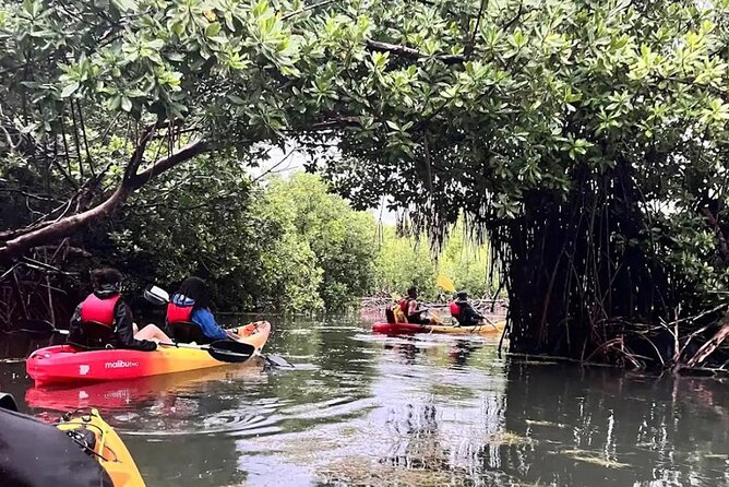 Bioluminescent Bay Kayak Tour in Fajardo Puerto Rico - The El Yunque backdrop and return route