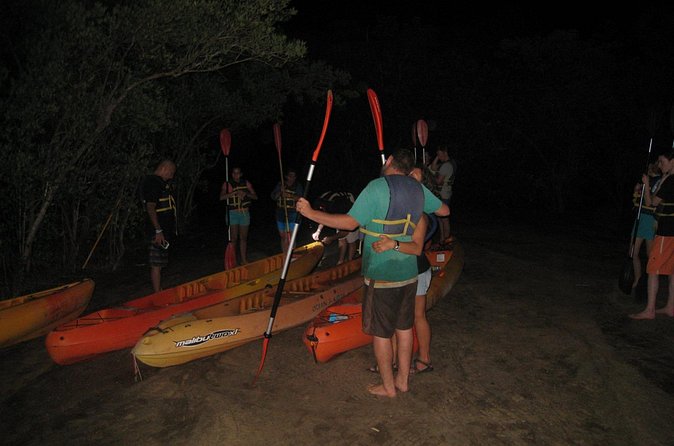 Bioluminescent Bay Kayak Trip from Vieques - What the $65 price includes