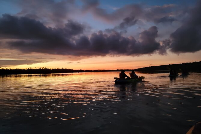 Bioluminescent Bay Night Kayaking Adventure in Puerto Rico - Key Things To Know Before You Paddle